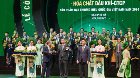 Động lực mới của PVFCCo