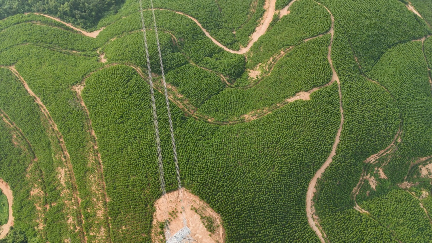 Đóng điện Dự án đường dây 220kV Nậm Sum - Nông Cống