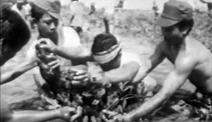 Phát huy bản lĩnh, mã gen “Bộ đội Cụ Hồ” trong việc xây dựng, phát triển Petrovietnam – Tập đoàn Công nghiệp Năng lượng Quốc gia