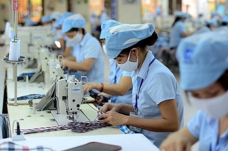 Tin tức kinh tế ngày 25/12: Việt Nam đứng thứ 2 thế giới về xuất khẩu dệt may