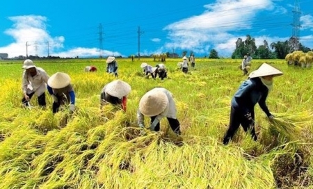 Tin tức kinh tế ngày 27/12: Tăng trưởng toàn ngành nông nghiệp ước đạt 3,3%