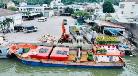 Rộn ràng những chuyến tàu chở hoa xuân ra đảo Lý Sơn