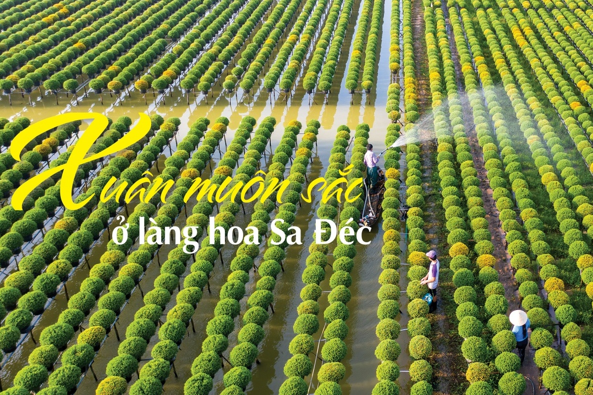 Xuân muôn sắc ở làng hoa Sa Đéc