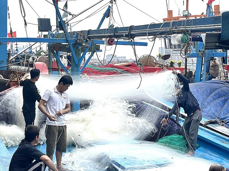 Ngư dân miền Trung nhộn nhịp vụ cá Tết