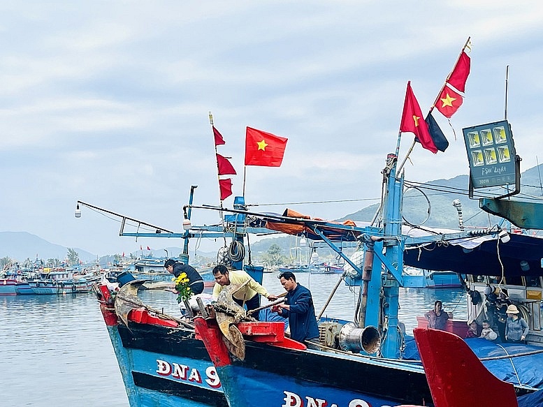 Ngư dân miền Trung nhộn nhịp vụ cá Tết