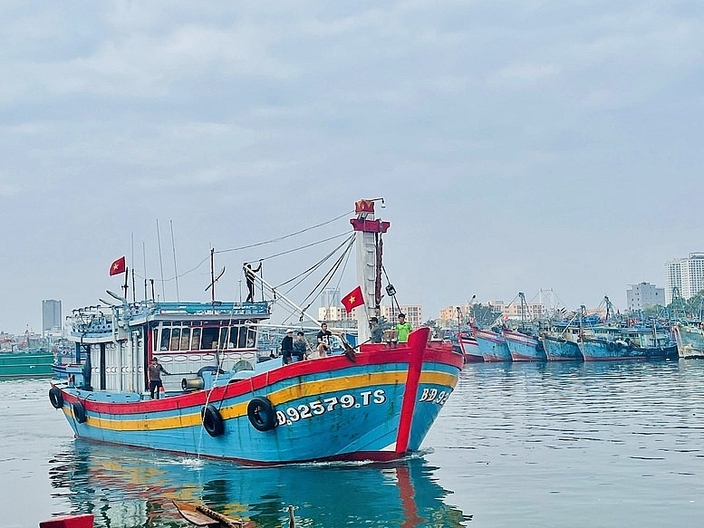 Ngư dân miền Trung nhộn nhịp vụ cá Tết