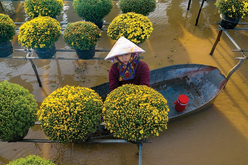 Xuân muôn sắc ở làng hoa Sa Đéc