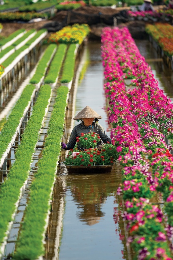 Xuân muôn sắc ở làng hoa Sa Đéc