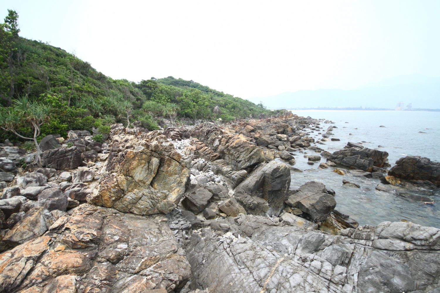 Những huyền sử về khu rừng thiêng 