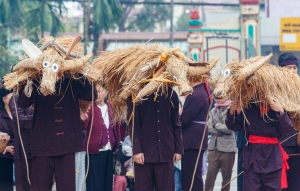 Độc đáo lễ hội trâu bò rơm rạ ở Vĩnh Phúc