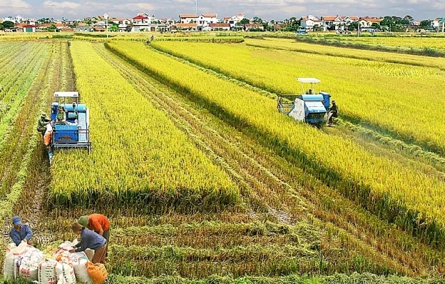 Điểm tin xây dựng - bất động sản ngày 5/2: Đề xuất miễn, giảm tiền thuê đất nông nghiệp để thúc đẩy đầu tư nông thôn