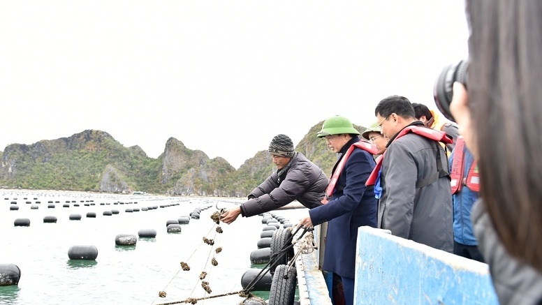 Nuôi trồng thuỷ sản phải chuyển nhanh sang công nghệ cao, bền vững