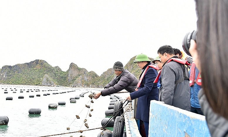 Nuôi trồng thuỷ sản phải chuyển nhanh sang công nghệ cao, bền vững