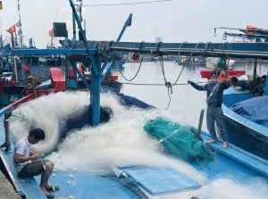 Miền Trung: Ngư dân rộn ràng vươn khơi đánh bắt đầu năm