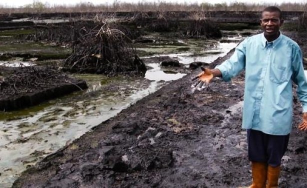 Shell lần đầu bị ra tòa vì gây ô nhiễm môi trường