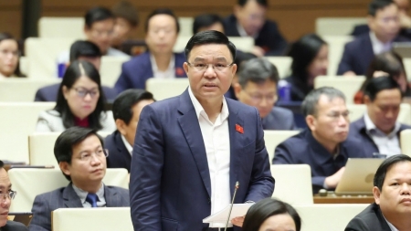 Cần rõ cơ chế đặc thù cho các doanh nghiệp như Petrovietnam để thực hiện dự án điện hạt nhân