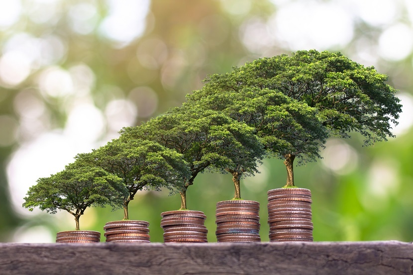 ADB mở rộng vốn đầu tư cho khu vực tư nhân và chuyển đổi số
