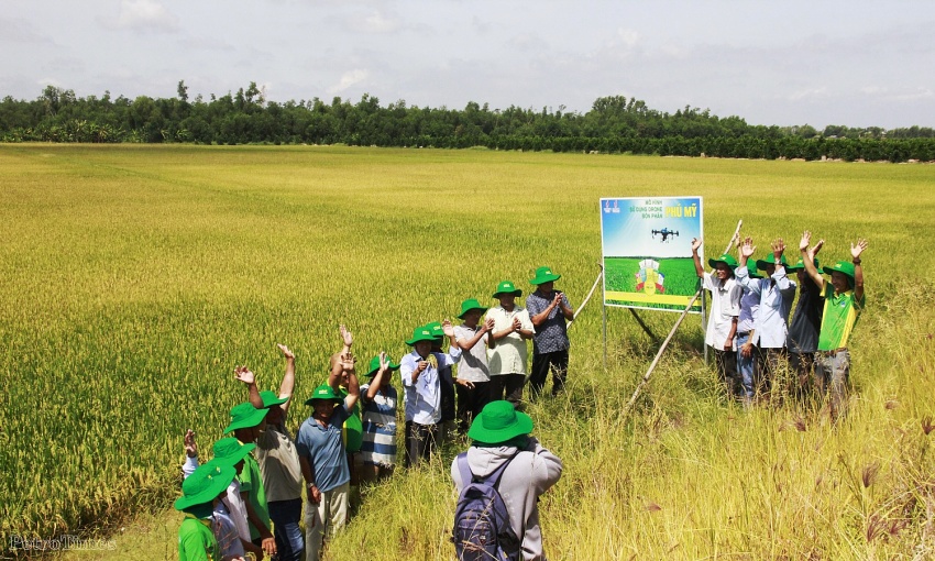 PVFCCo đưa công nghệ mới vào sản xuất nông nghiệp