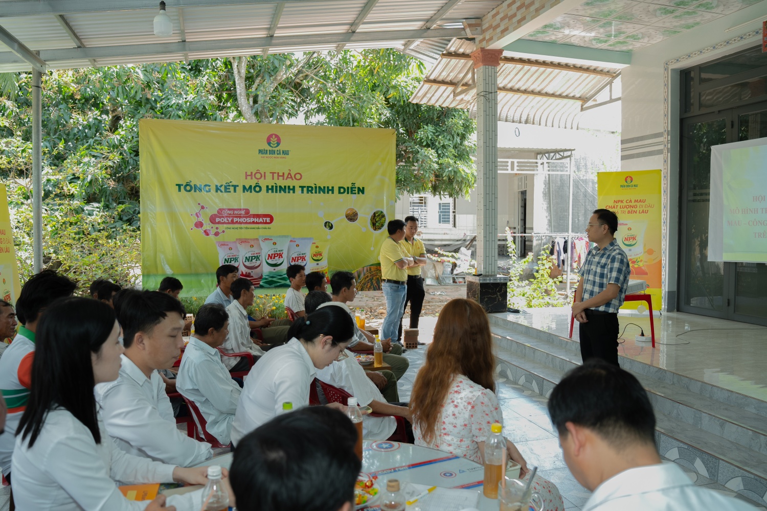 Cây nhãn tăng trên 20% năng suất nhờ sử dụng NPK Cà Mau công nghệ Poly Phosphate