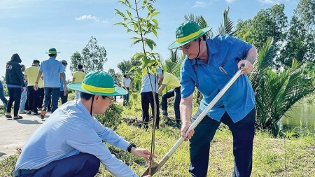 Xanh và trẻ ở Phân bón Cà Mau