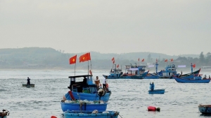 Quảng Ngãi tập trung cao điểm chống khai thác IUU