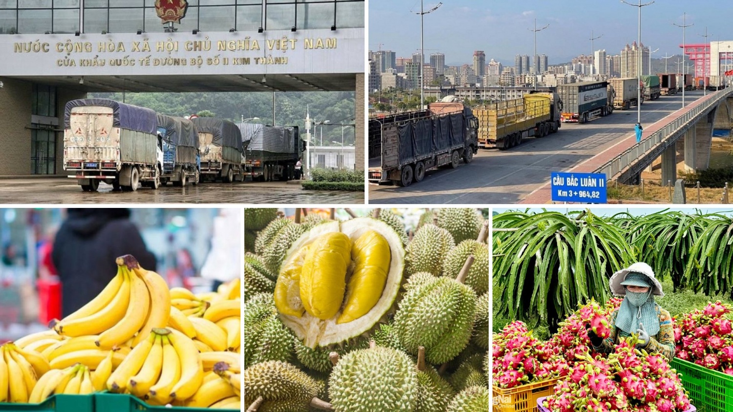 Tin tức kinh tế ngày 8/3: Thương mại Việt Nam - Trung Quốc vượt 31 tỷ USD
