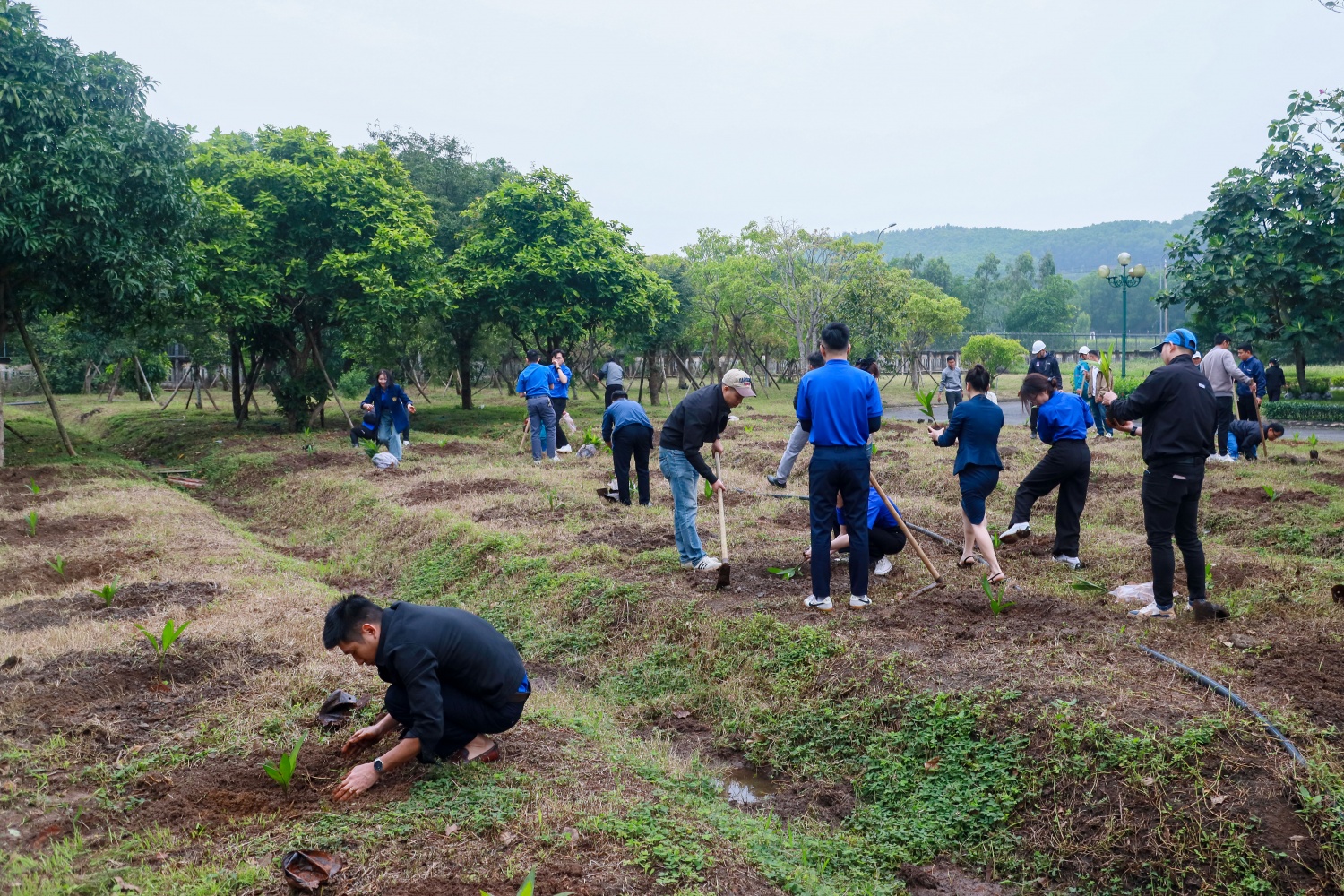 Cụm phối hợp hoạt động Dầu khí miền Trung tổ chức nhiều hoạt động ý nghĩa và phát động Tháng Thanh niên năm 2025