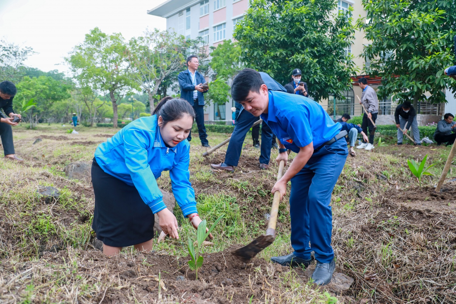 Các đoàn viên thuộc Huyện đoàn Bình Sơn và Đoàn TN xã Bình Trị (huyện Bình Sơn, Quảng Ngãi) tham gia trông cây.