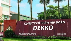 Thương hiệu ống nhựa DEKKO bị xử phạt trong lĩnh vực chứng khoán