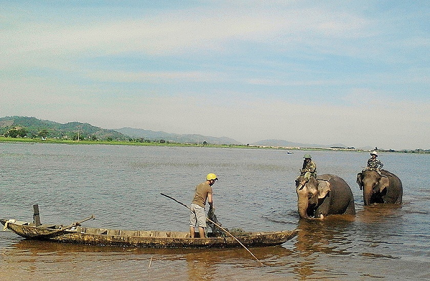 Sống lại plung