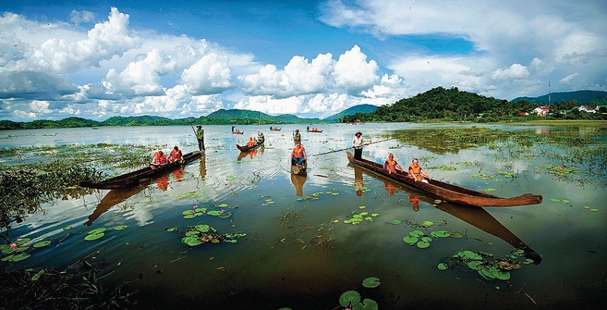 Sống lại plung