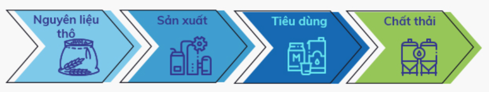 BSR aims for a circular economy model: Optimizing production and sustainable development