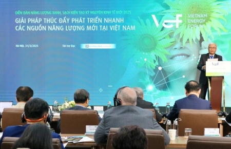 Cần cơ chế đủ mạnh để hoàn thành mục tiêu về điện gió ngoài khơi, điện khí LNG đến năm 2030