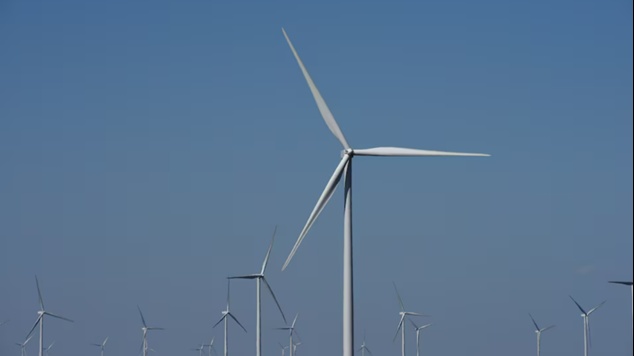 Năng lượng tái tạo cung cấp mức điện năng toàn cầu kỷ lục vào năm 2024