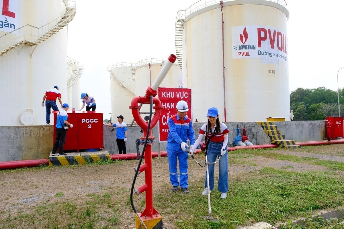 Phát huy thế mạnh của Đoàn Thanh niên Petrovietnam trong giai đoạn phát triển mới của Tập đoàn
