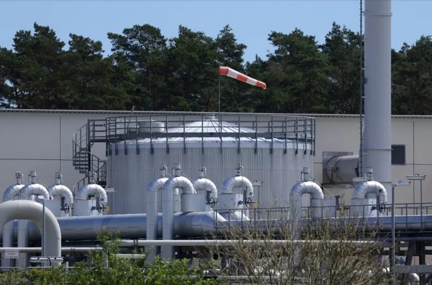 Ảnh: Internet Ảnh: Internet