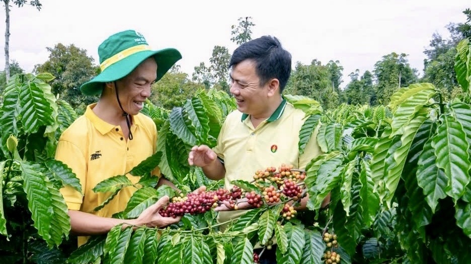 PVCFC duy trì nền tảng tài chính ổn định, đạt kết quả khả quan trong quý I/2025