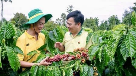 PVCFC duy trì nền tảng tài chính ổn định, đạt kết quả khả quan trong quý I/2025