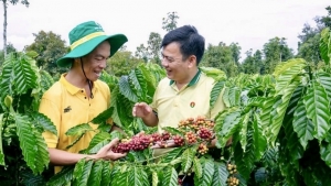 PVCFC duy trì nền tảng tài chính ổn định, đạt kết quả khả quan trong quý I/2025