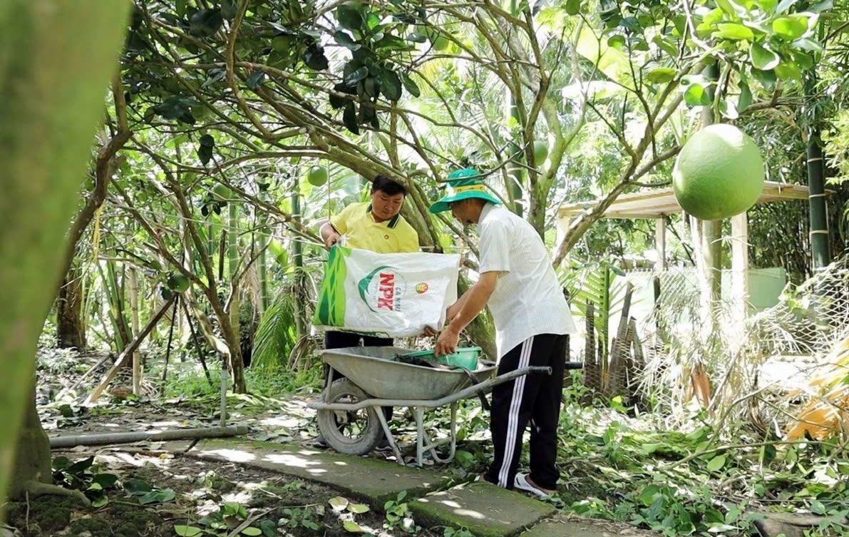 PVCFC duy trì nền tảng tài chính ổn định, đạt kết quả khả quan trong quý I/2025
