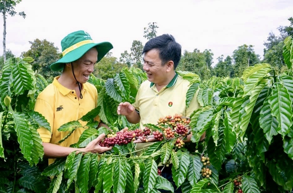 PVCFC duy trì nền tảng tài chính ổn định, đạt kết quả khả quan trong quý I/2025