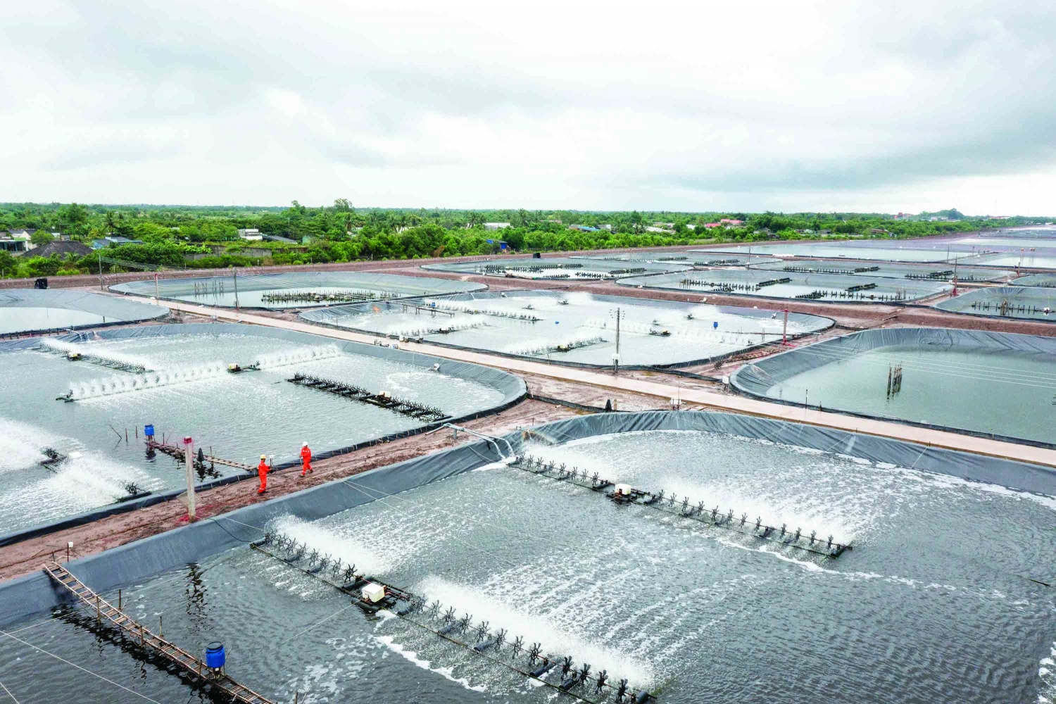 Điện đi trước một bước, tạo “đòn bẩy” thúc đẩy phát triển kinh tế phía Nam