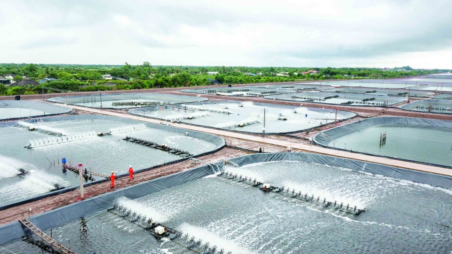 Điện đi trước một bước, tạo “đòn bẩy” thúc đẩy phát triển kinh tế phía Nam