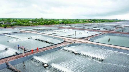 Điện đi trước một bước, tạo “đòn bẩy” thúc đẩy phát triển kinh tế phía Nam