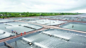 Điện đi trước một bước, tạo “đòn bẩy” thúc đẩy phát triển kinh tế phía Nam