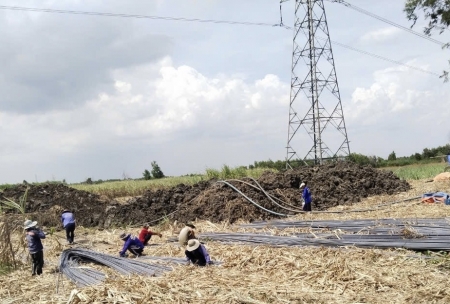 Thi công xuyên lễ đưa Dự án đường dây 220kV NMĐ Nhơn Trạch 3 - rẽ Mỹ Xuân - Cát Lái về đích trong tháng 6