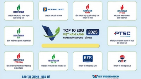 Petrovietnam và các đơn vị thành viên khẳng định vai trò tiên phong trong chuyển đổi xanh, bền vững