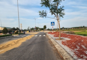Quảng Ngãi: Tuyến đường hơn 30 tỷ thành... nơi phơi lúa