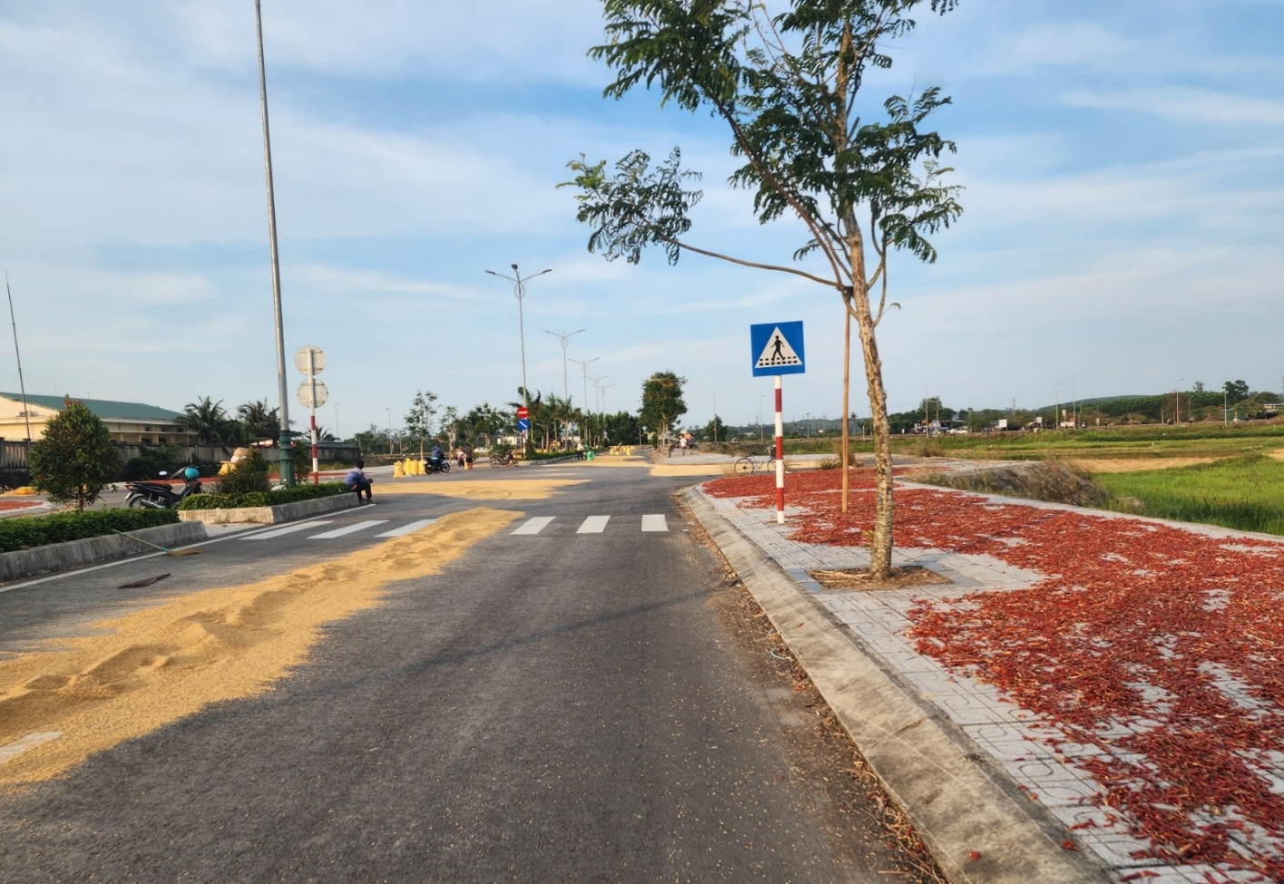 Quảng Ngãi: Tuyến đường hơn 30 tỷ thành... nơi phơi lúa