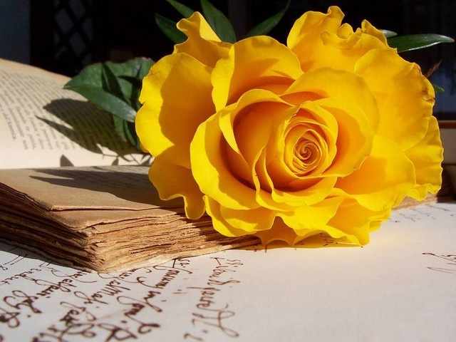 Tử vi tuần mới (12-18/5/2025): Tuổi Tý phát triển rực rỡ, tuổi Ngọ khẳng định tài năng